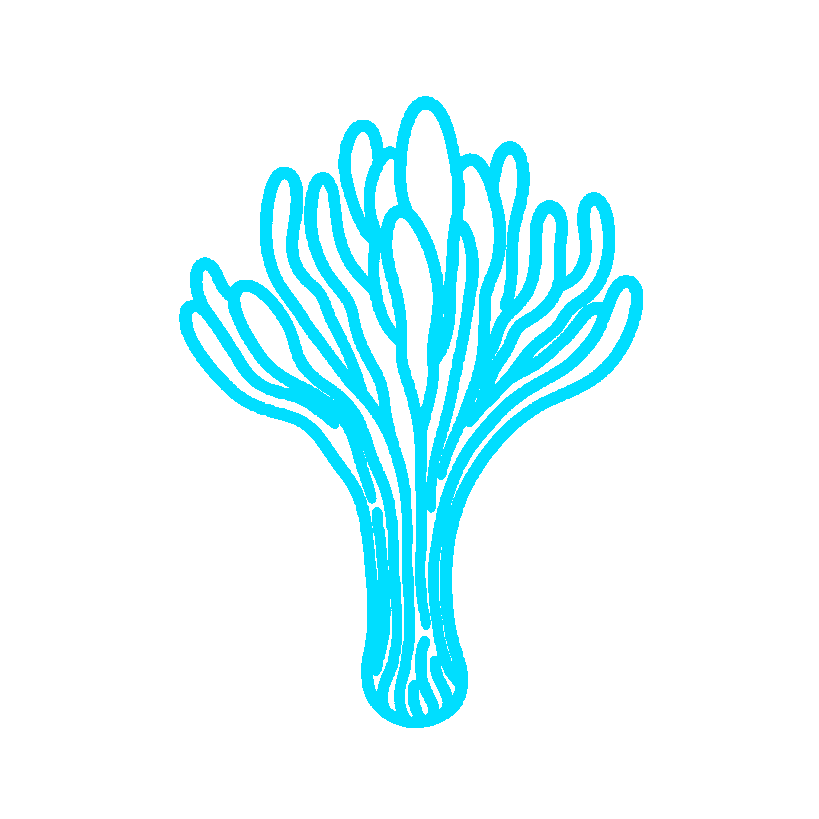 Logo 4